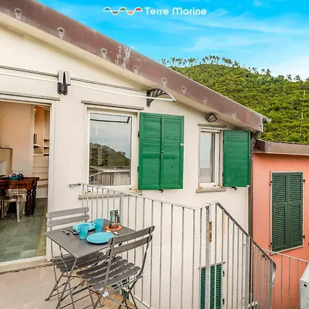 Country View, Terre Marine *