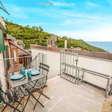 Country View, Terre Marine Apartman